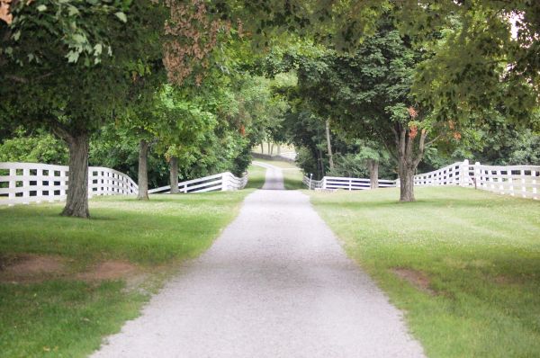 Gravel Driveway Construction in New Albany