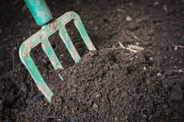 Topsoil Spreading in New Albany