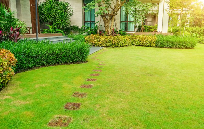 Landscaped Graded Yard
